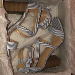 Ok but they’re cute tho